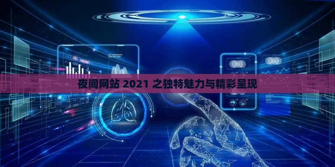 夜间网站 2021 之独特魅力与精彩呈现