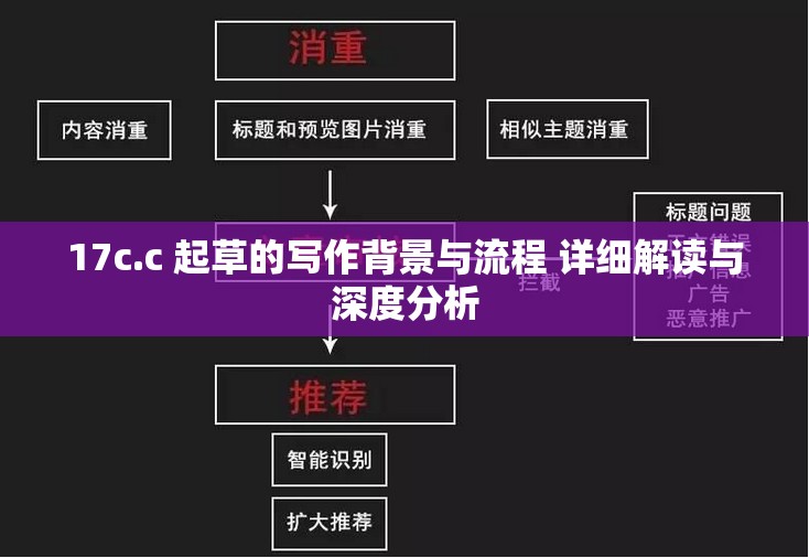 17c.c 起草的写作背景与流程 详细解读与深度分析