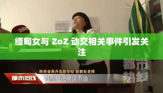 缅甸女与 ZoZ 动交相关事件引发关注