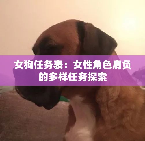 女狗任务表：女性角色肩负的多样任务探索