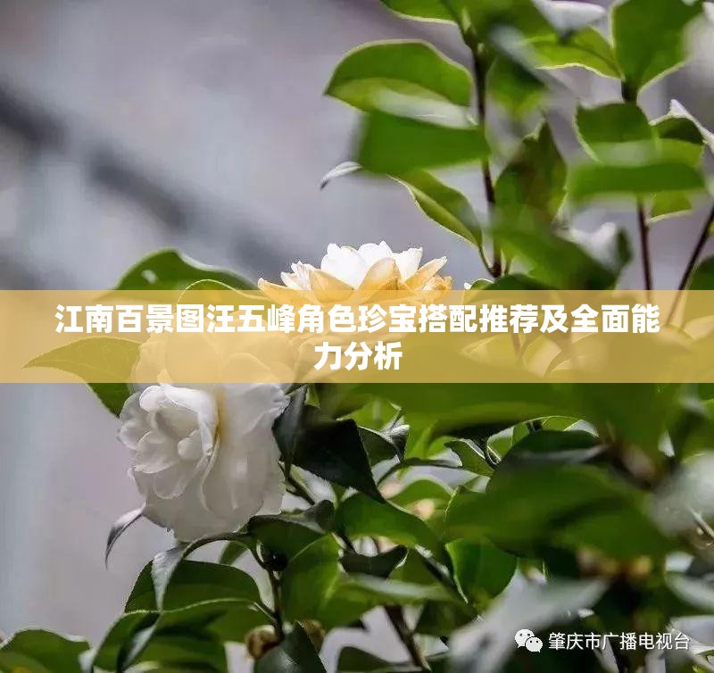 江南百景图汪五峰角色珍宝搭配推荐及全面能力分析