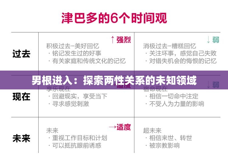 男根进入：探索两性关系的未知领域