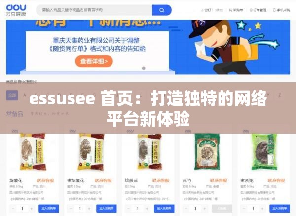 essusee 首页：打造独特的网络平台新体验