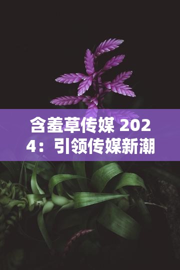 含羞草传媒 2024：引领传媒新潮流