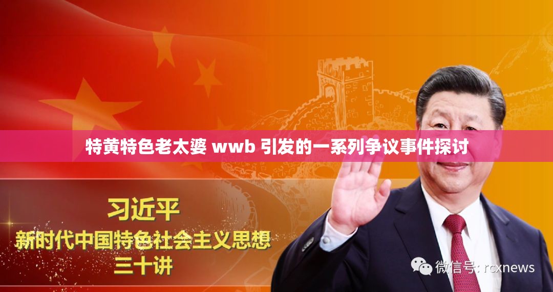 特黄特色老太婆 wwb 引发的一系列争议事件探讨