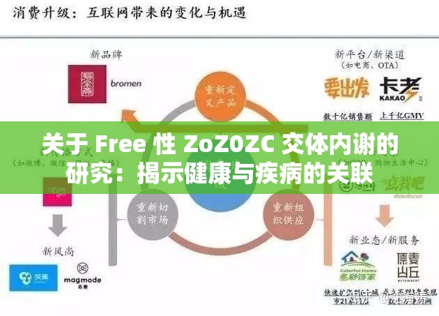 关于 Free 性 ZoZ0ZC 交体内谢的研究：揭示健康与疾病的关联