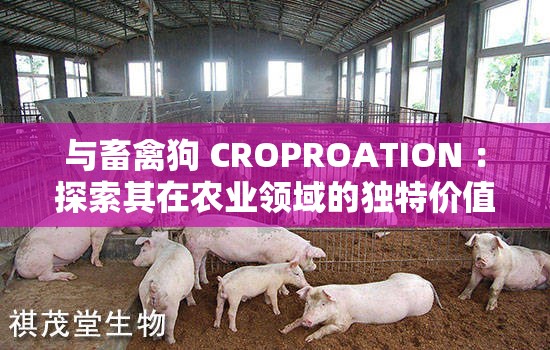 与畜禽狗 CROPROATION ：探索其在农业领域的独特价值与作用