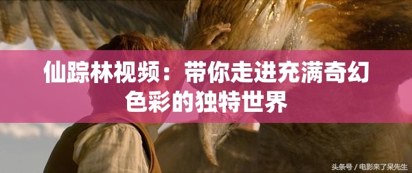 仙踪林视频：带你走进充满奇幻色彩的独特世界