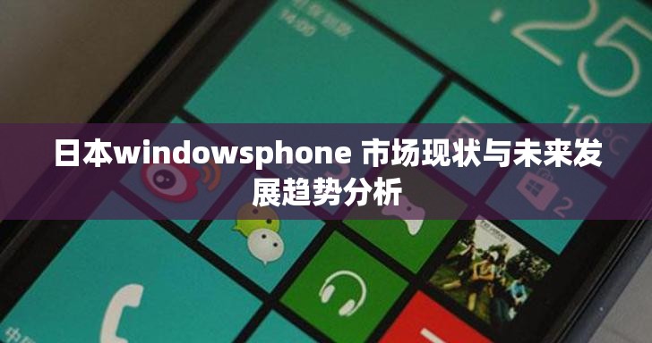 日本windowsphone 市场现状与未来发展趋势分析