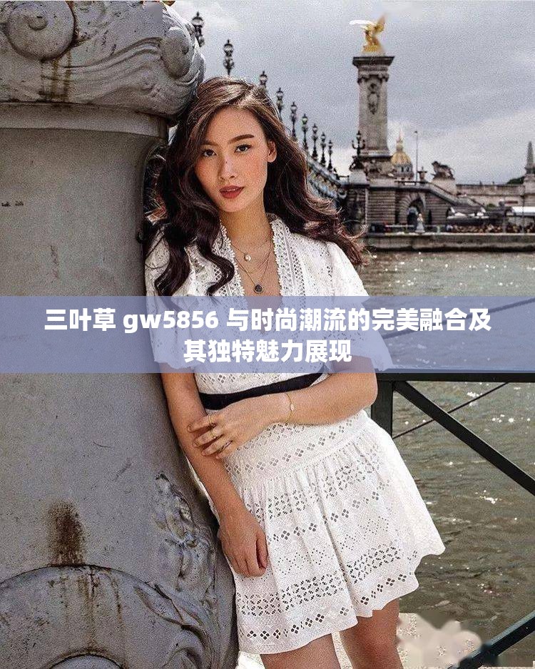 三叶草 gw5856 与时尚潮流的完美融合及其独特魅力展现