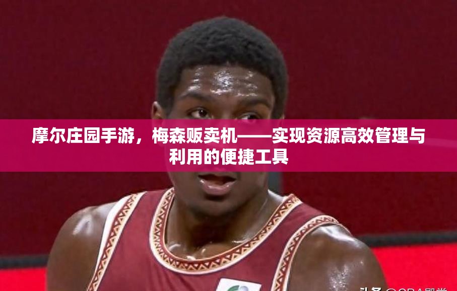 摩尔庄园手游，梅森贩卖机——实现资源高效管理与利用的便捷工具