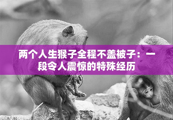 两个人生猴子全程不盖被子：一段令人震惊的特殊经历