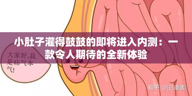 小肚子灌得鼓鼓的即将进入内测：一款令人期待的全新体验