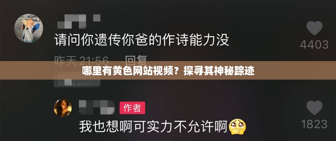 哪里有黄色网站视频？探寻其神秘踪迹