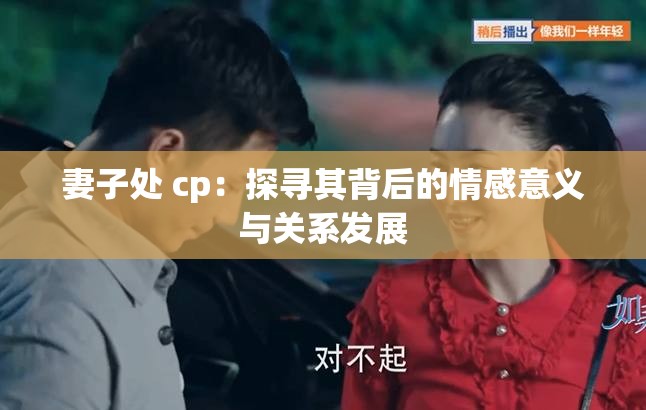 妻子处 cp：探寻其背后的情感意义与关系发展