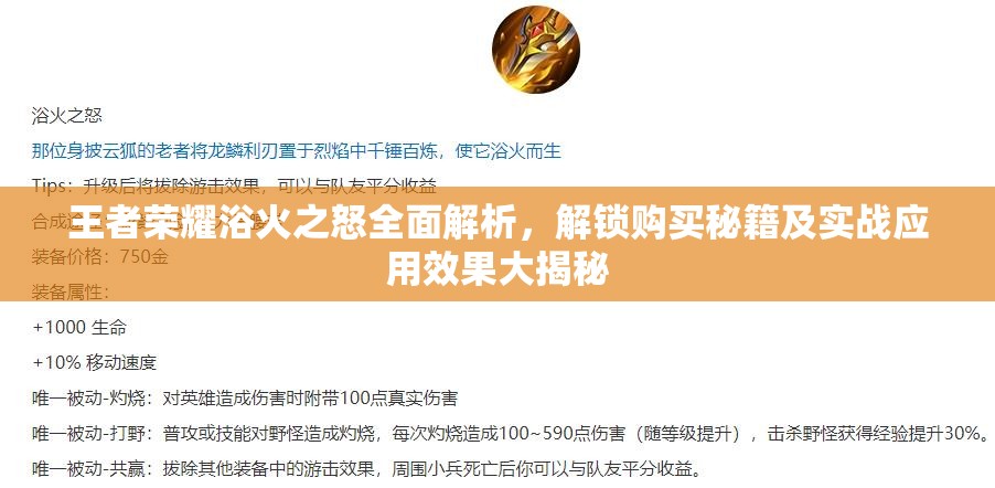 王者荣耀浴火之怒全面解析，解锁购买秘籍及实战应用效果大揭秘