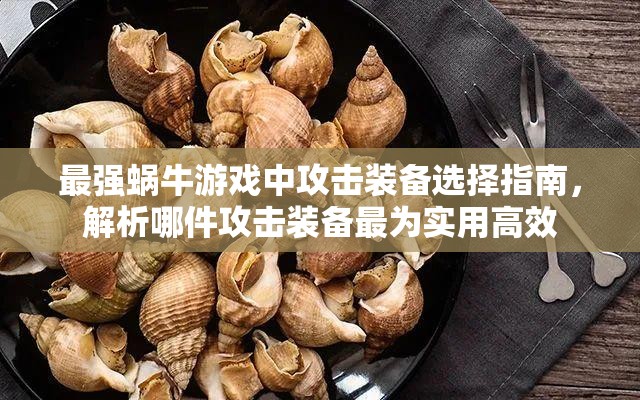 最强蜗牛游戏中攻击装备选择指南，解析哪件攻击装备最为实用高效