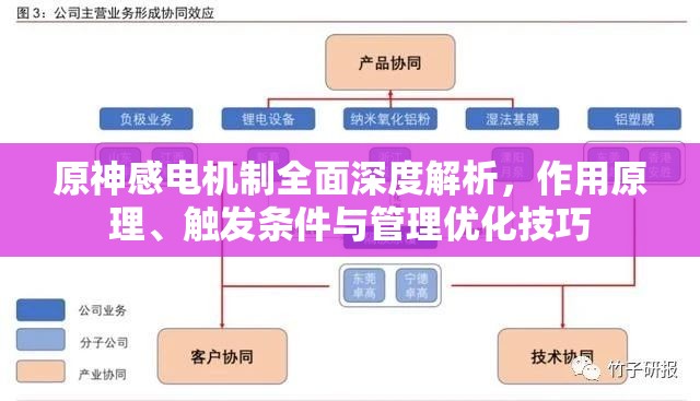 原神感电机制全面深度解析，作用原理、触发条件与管理优化技巧