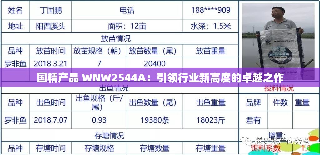 国精产品 WNW2544A：引领行业新高度的卓越之作