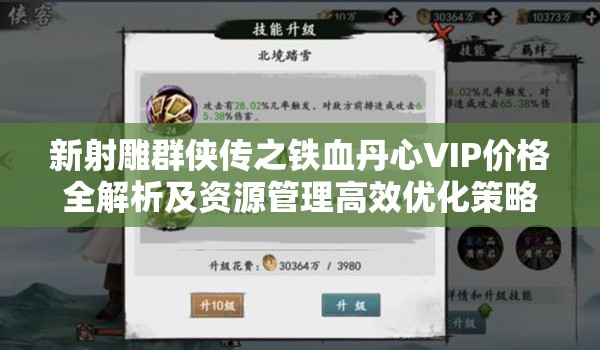 新射雕群侠传之铁血丹心VIP价格全解析及资源管理高效优化策略