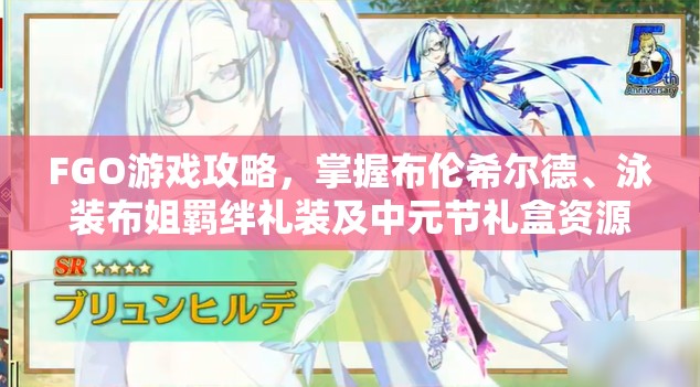 FGO游戏攻略，掌握布伦希尔德、泳装布姐羁绊礼装及中元节礼盒资源管理艺术