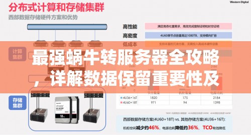 最强蜗牛转服务器全攻略，详解数据保留重要性及资源管理高效技巧