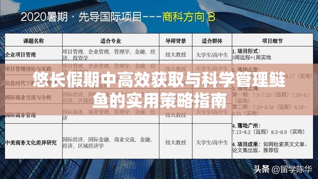 悠长假期中高效获取与科学管理鲢鱼的实用策略指南