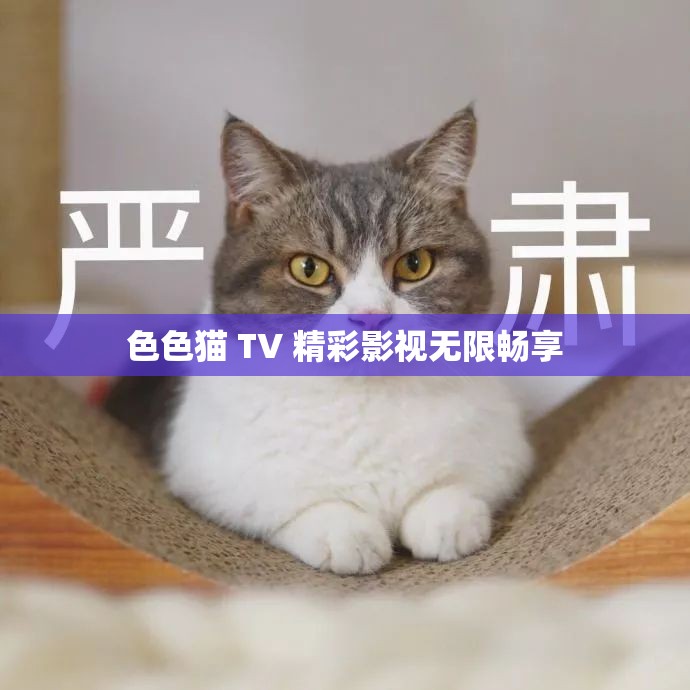 色色猫 TV 精彩影视无限畅享