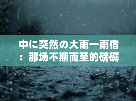 中に突然の大雨一雨宿：那场不期而至的磅礴雨中之宿