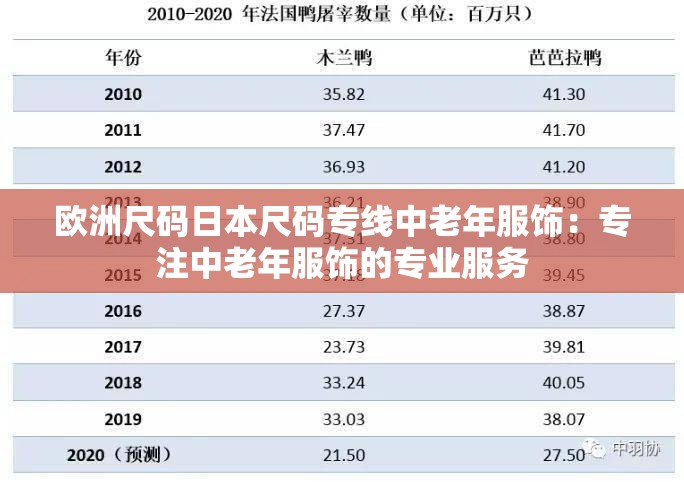 欧洲尺码日本尺码专线中老年服饰：专注中老年服饰的专业服务