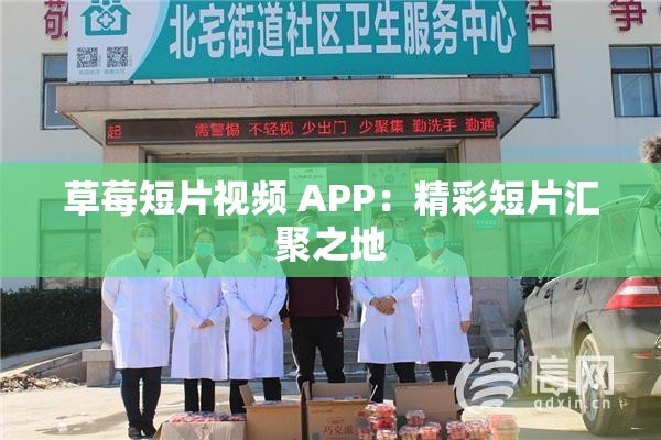 草莓短片视频 APP：精彩短片汇聚之地