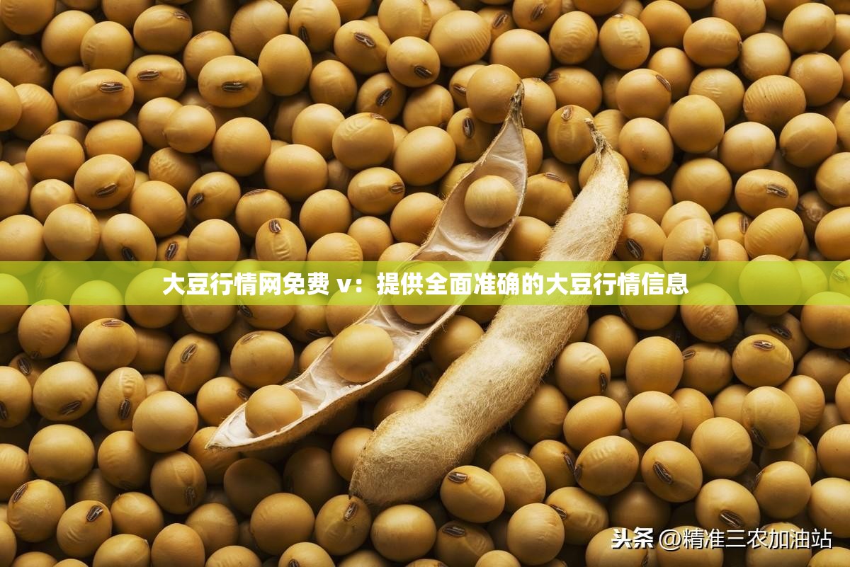 大豆行情网免费 v：提供全面准确的大豆行情信息