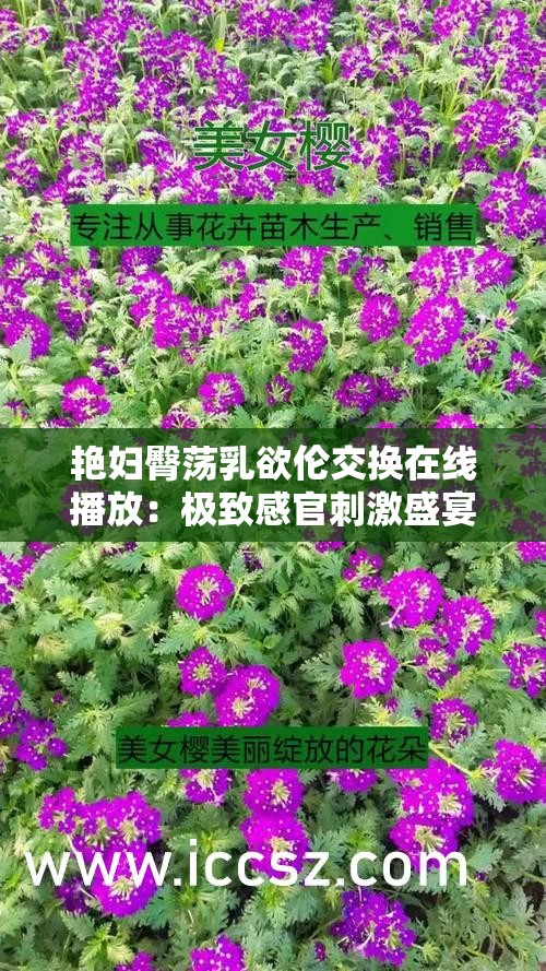 艳妇臀荡乳欲伦交换在线播放：极致感官刺激盛宴