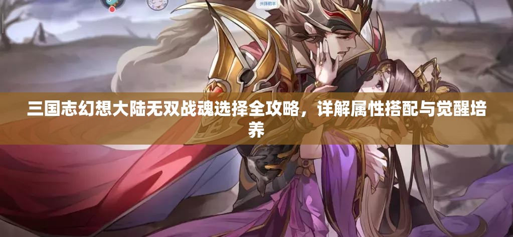 三国志幻想大陆无双战魂选择全攻略，详解属性搭配与觉醒培养