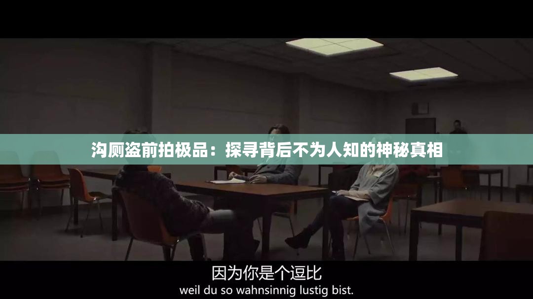 沟厕盗前拍极品：探寻背后不为人知的神秘真相