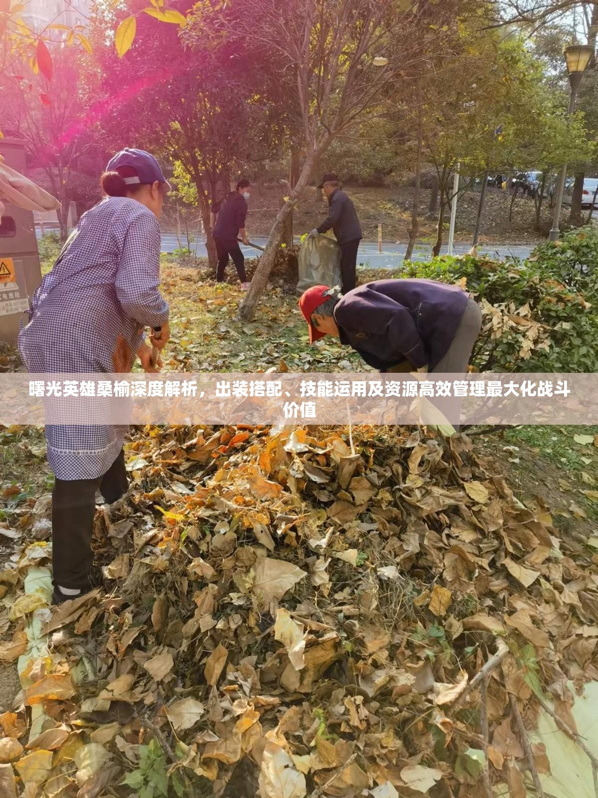 曙光英雄桑榆深度解析，出装搭配、技能运用及资源高效管理最大化战斗价值