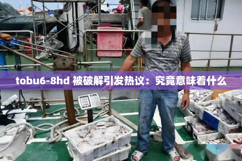 tobu6-8hd 被破解引发热议：究竟意味着什么