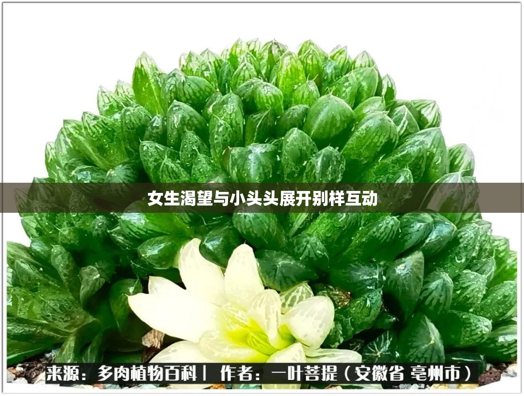 女生渴望与小头头展开别样互动