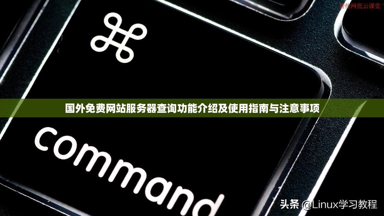 国外免费网站服务器查询功能介绍及使用指南与注意事项