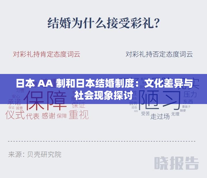 日本 AA 制和日本结婚制度：文化差异与社会现象探讨