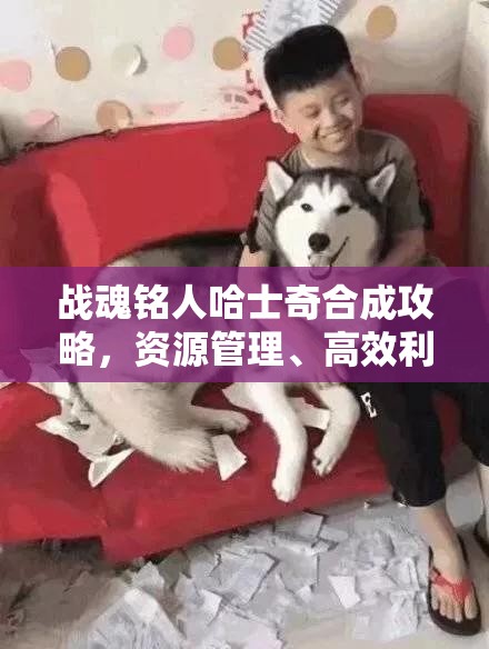 战魂铭人哈士奇合成攻略，资源管理、高效利用技巧以最大化其价值