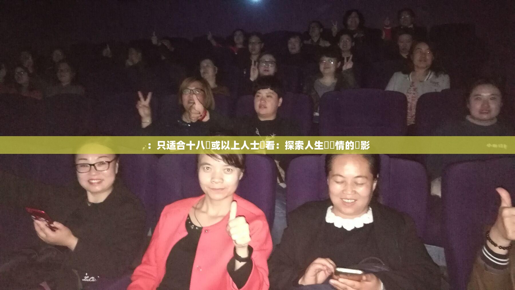 ：只适合十八歲或以上人士觀看：探索人生與愛情的電影