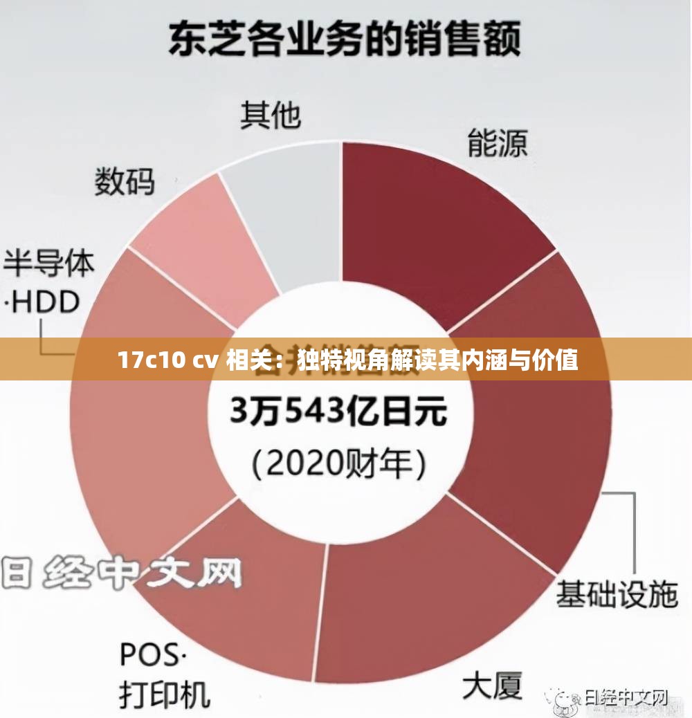 17c10 cv 相关：独特视角解读其内涵与价值