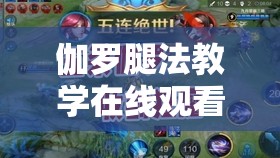 伽罗腿法教学在线观看：详细解析与实战技巧提升