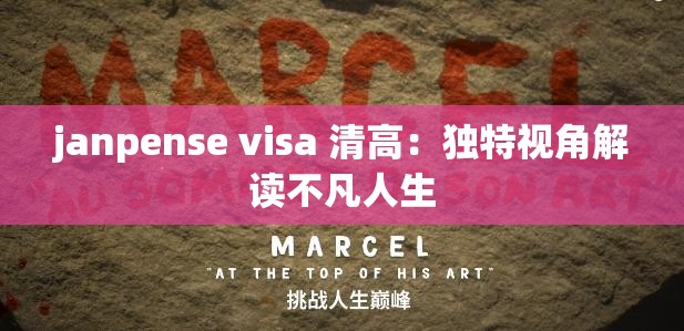 janpense visa 清高：独特视角解读不凡人生