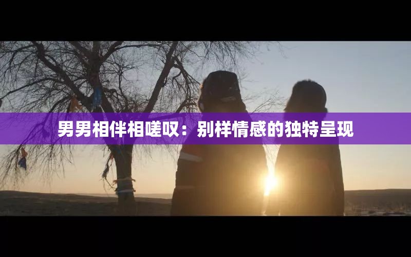 男男相伴相嗟叹：别样情感的独特呈现
