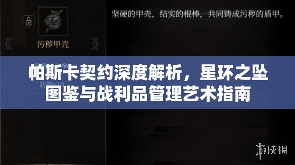 帕斯卡契约深度解析，星环之坠图鉴与战利品管理艺术指南