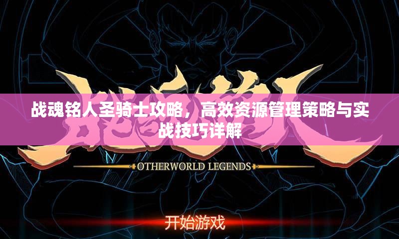 战魂铭人圣骑士攻略，高效资源管理策略与实战技巧详解