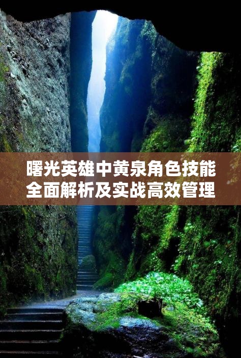 曙光英雄中黄泉角色技能全面解析及实战高效管理策略指南