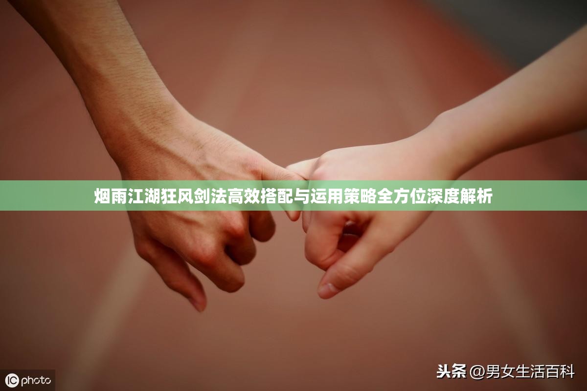 烟雨江湖狂风剑法高效搭配与运用策略全方位深度解析